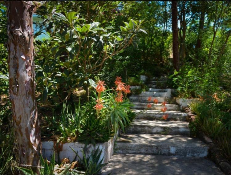 La Barranca De La Barca Bed and Breakfast Álora Eksteriør billede