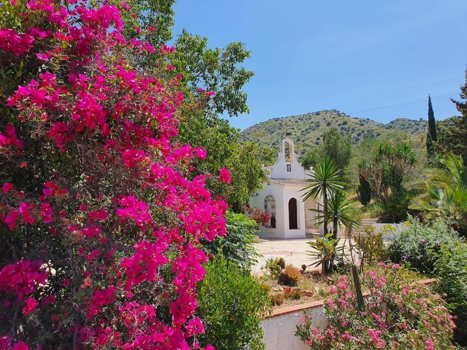 La Barranca De La Barca Bed and Breakfast Álora Eksteriør billede