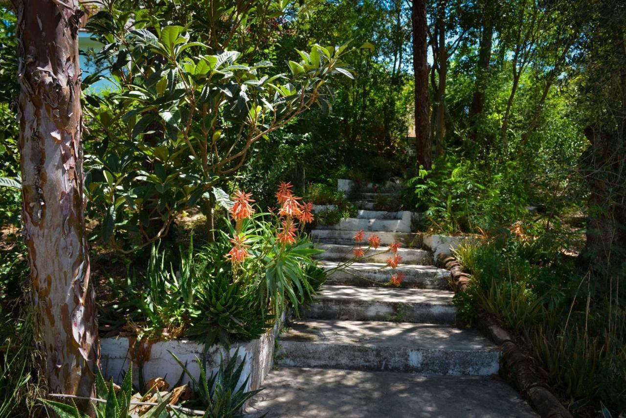La Barranca De La Barca Bed and Breakfast Álora Eksteriør billede